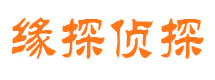 大新侦探公司